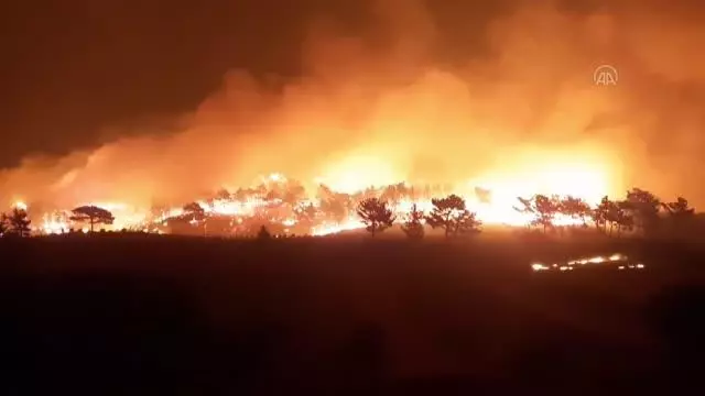 Akseki ilçesinde orman yangını çıktı