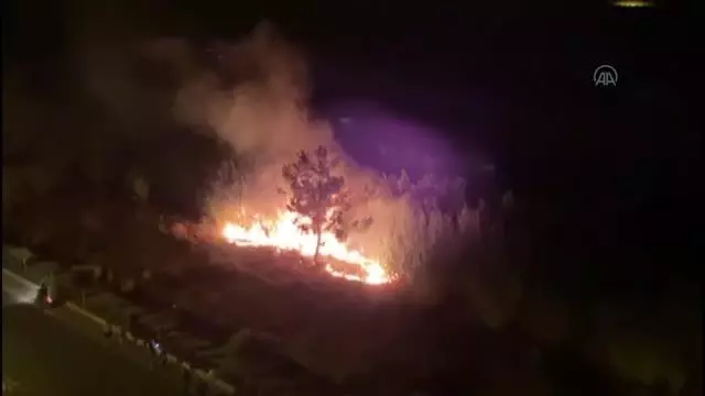 Son dakika haberi... Alanya'da zirai alanlarda çıkan yangınlar söndürüldü