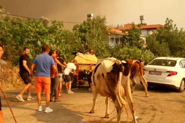 Manavgat'taki can pazarı gün yüzüne çıkıyor! Cayır cayır yanan mahalleden zor kurtuldular
