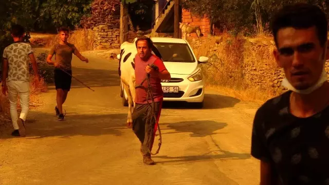 Manavgat'taki can pazarı gün yüzüne çıkıyor! Cayır cayır yanan mahalleden zor kurtuldular