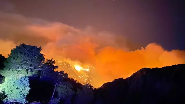 Antalya'nın Akseki ilçesinde orman yangını çıktı