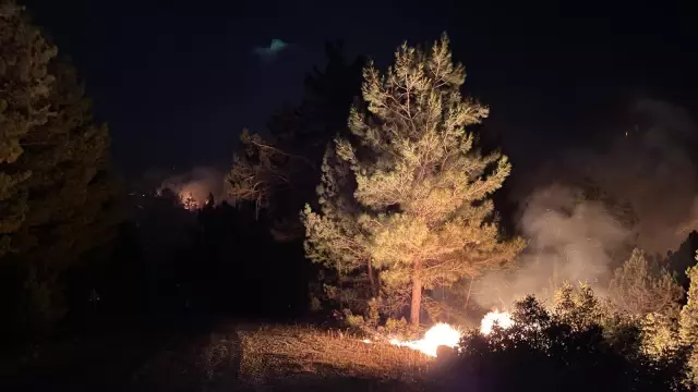 Antalya'nın Akseki ilçesinde orman yangını çıktı