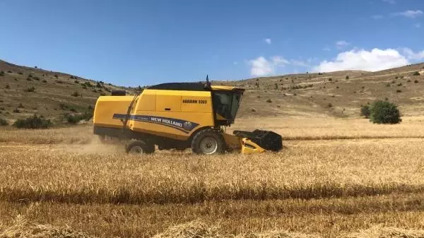 BİNALİ YILDIRIM, BİÇERDÖVERLE HASAT YAPTI