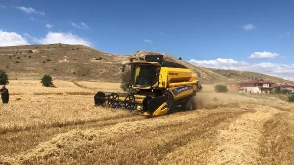BİNALİ YILDIRIM, BİÇERDÖVERLE HASAT YAPTI