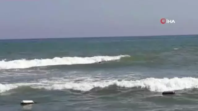Denizden çıkan cisim tatilcileri korkuttu