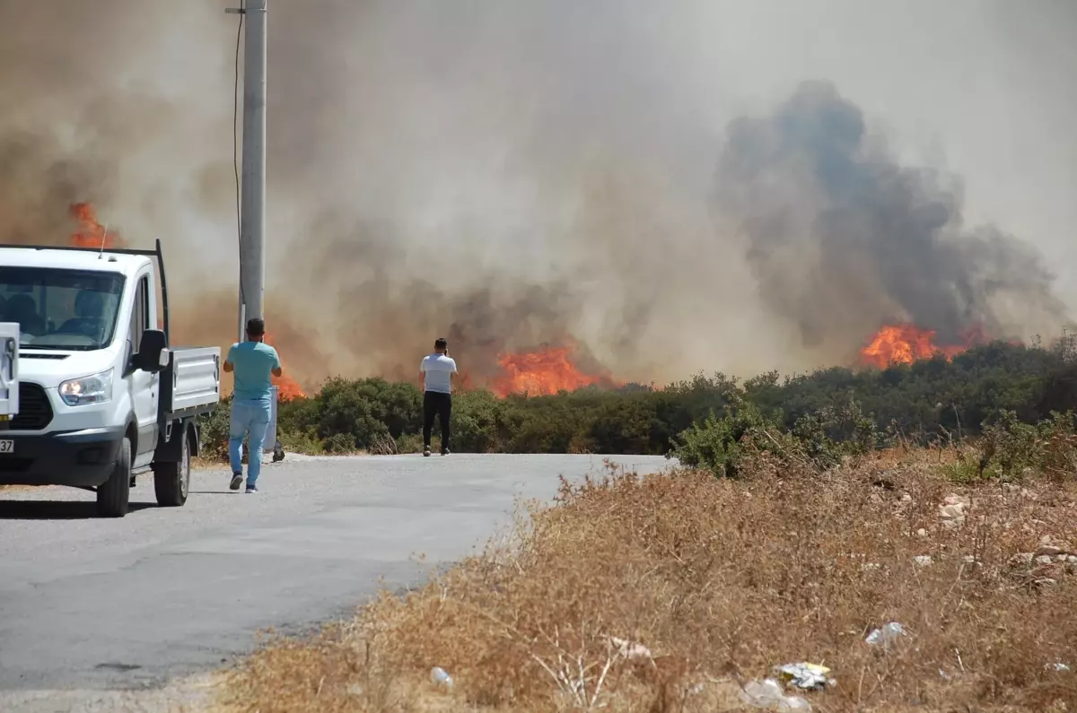 Son dakika haber! Didim'de makilik alanda çıkan yangın kontrol altına alındı (2)