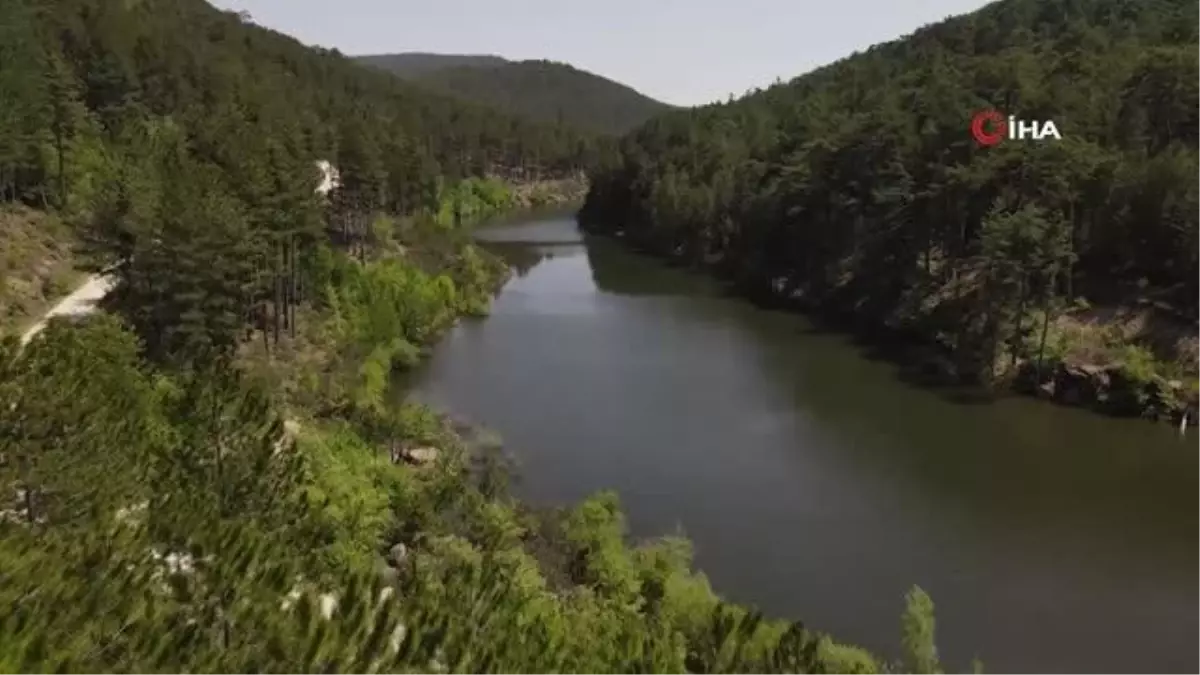 Doğada müzik ile terapi yapıldı