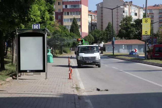 Popülasyonu artan dantel böceğiyle mücadele