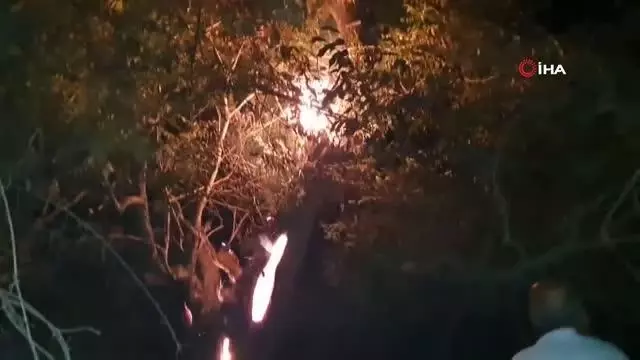 Elazığ'da çıkan yangında bir ev ve bahçeler zarar gördü