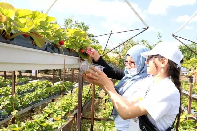 Gençler Samsun'u keşfediyor