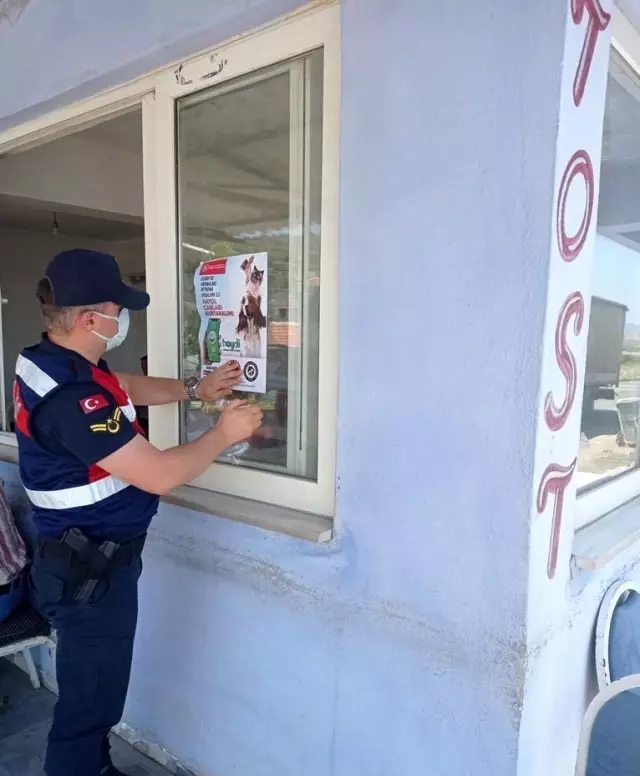 Jandarma ekipleri 'Can dostlar' için sahaya indi