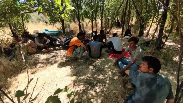Afgan göçmenler Türkiye'ye geliş sebepleri ekonomik yoksunluk ve can güvenliği