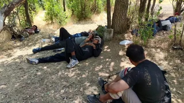 Afgan göçmenler Türkiye'ye geliş sebepleri ekonomik yoksunluk ve can güvenliği