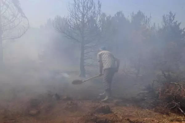 Son dakika haberi! Karaman'da çıkan yangında 5 hektar alan zarar gördü