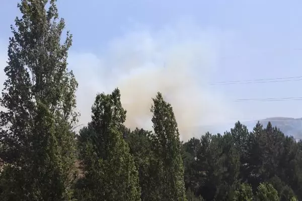 Son dakika haberi! Karaman'da çıkan yangında 5 hektar alan zarar gördü