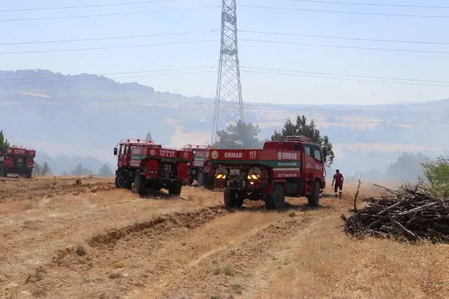 Son dakika... Ormanlık alanda çıkan yangın söndürüldü