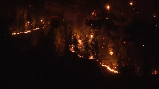 Yahyalı'daki Milli Park yangınında alevler geceyi aydınlattı