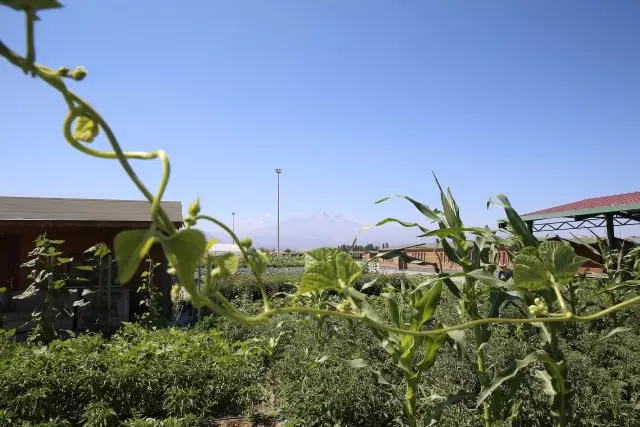 Kayseri'den kısa kısa