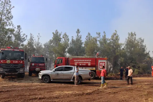 Son dakika haber | Orman yangını kontrol altına alındı