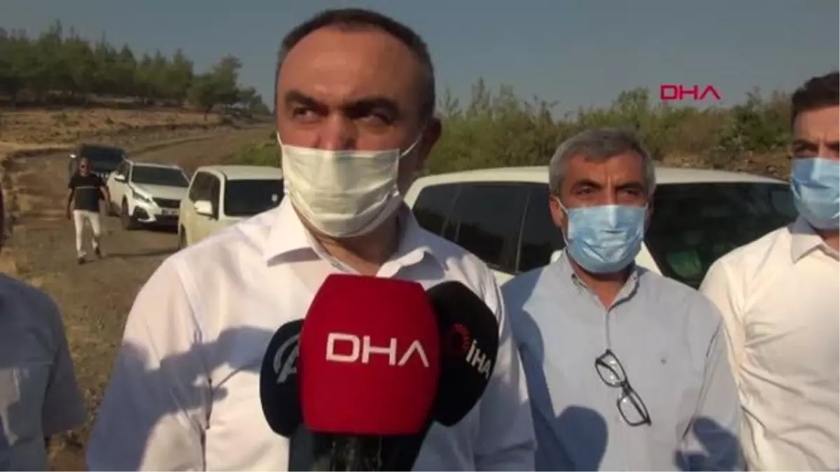 Son dakika haberi... KİLİS'TE ORMAN YANGINI