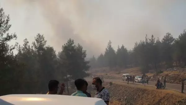 Son dakika haberi... KİLİS'TE ORMAN YANGINI