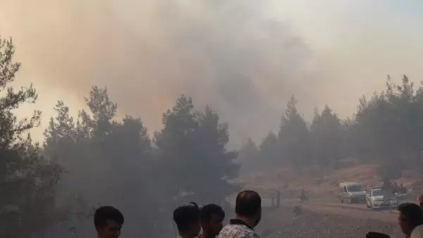 Son dakika haberi... KİLİS'TE ORMAN YANGINI