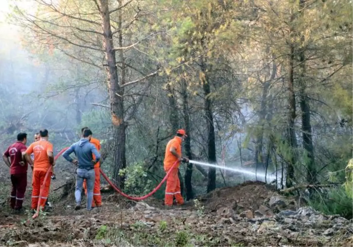 Kilis'te orman yangını (3)