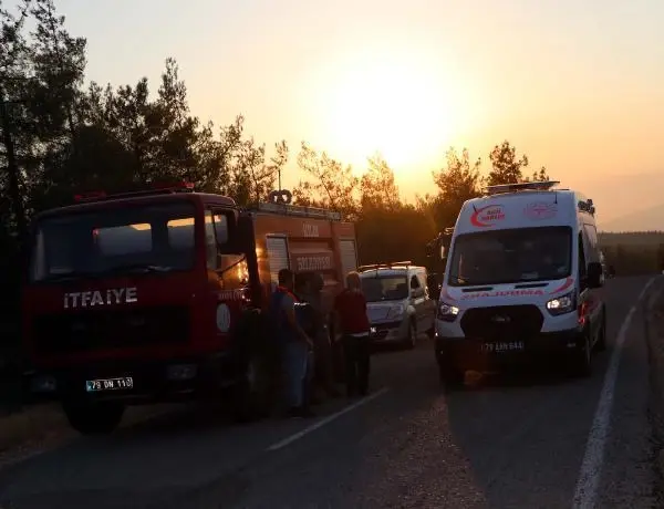 Kilis'te orman yangını (3)