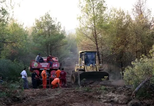 Kilis'te orman yangını (3)