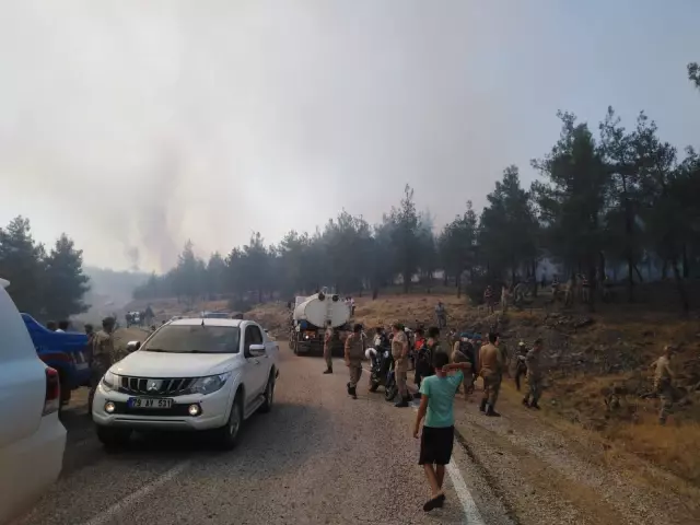 Son dakika haber | Orman yangını kontrol altına alındı