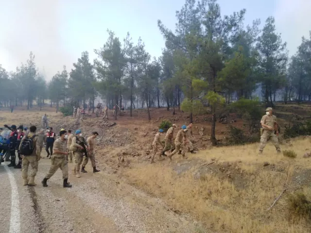 Son dakika haber | Orman yangını kontrol altına alındı