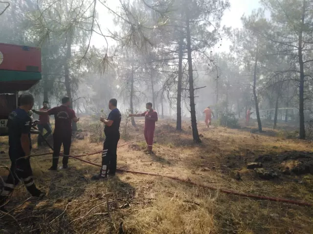 Son dakika haber | Orman yangını kontrol altına alındı