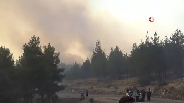 Kilis'teki orman yangını söndürülemiyor