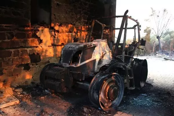 KOZAN'DA İKİNCİ GÜNÜNDE DEVAM EDEN ORMAN YANGININ ACI TABLOSU SABAH ORTAYA ÇIKTI