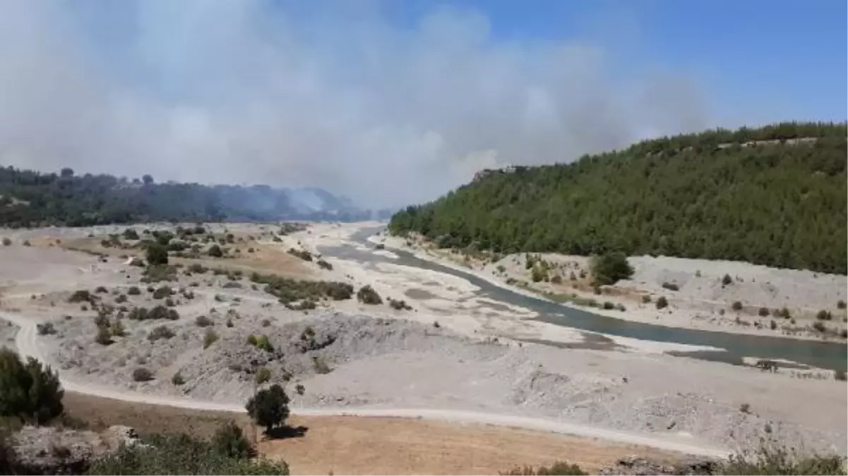 Kozan'da ikinci gününde devam eden orman yangının acı tablosu sabah ortaya çıktı (2)