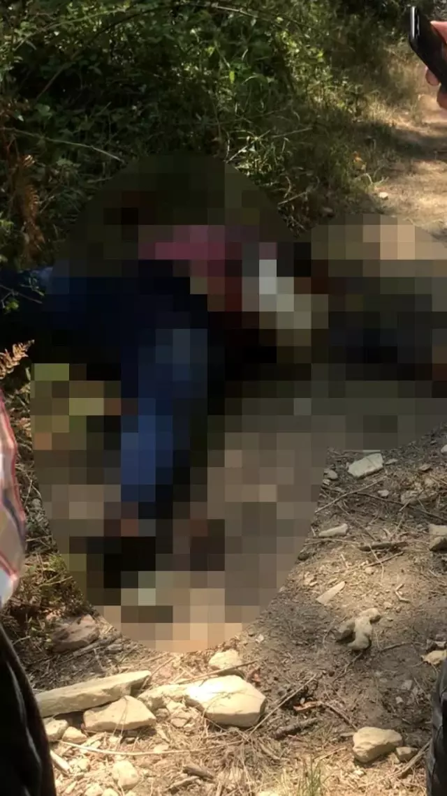 Adana'da ormanlık alanda kimliği belirsiz bir kadının cansız bedeni bulundu