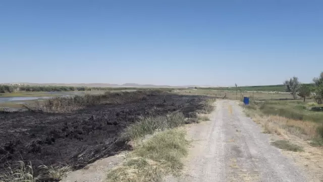 Son dakika haberleri | Kulu'da sazlık yangını büyümeden söndürüldü