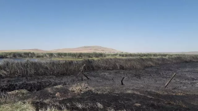 Son dakika haberleri | Kulu'da sazlık yangını büyümeden söndürüldü