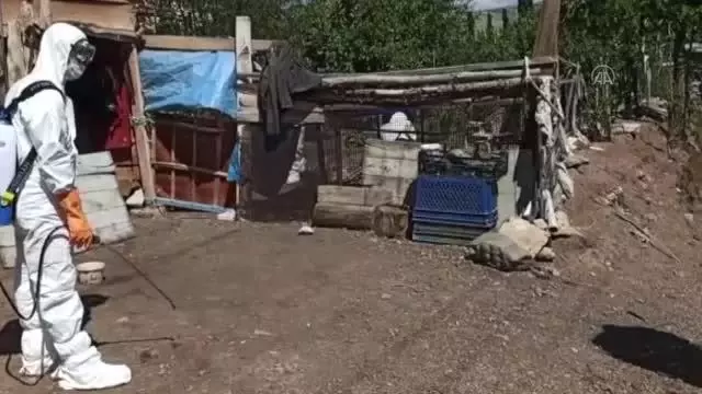 Kuş gribi şüphesiyle yaklaşık 200 kanatlı hayvan itlaf edildi