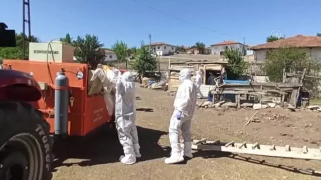 Kuş gribi şüphesiyle yaklaşık 200 kanatlı hayvan itlaf edildi