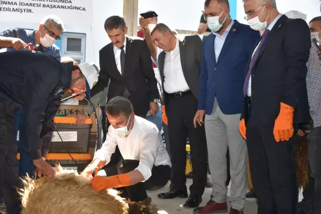 Malatya'da jeneratörlü kırkım makineleri yetiştiricilerin hizmetine sunuldu