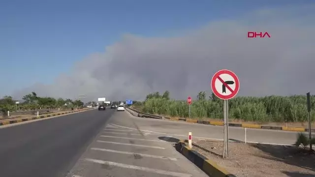 MANAVGAT'TA 4 AYRI NOKTADA ORMAN YANGINI - 11