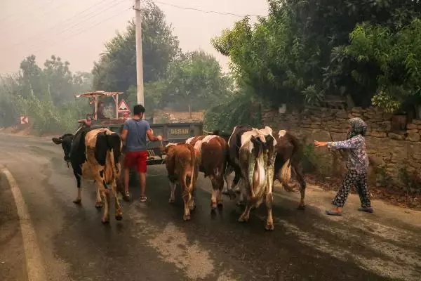 MANAVGAT'TAKİ BÜYÜK YANGINDA 2'NCİ GÜN; BİR MAHALLE DAHA BOŞALTILDI