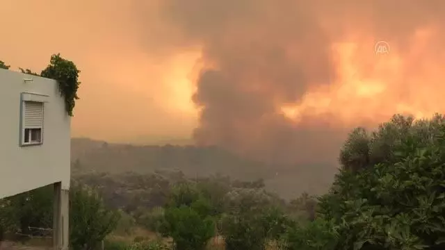 Manavgat'taki orman yangınını söndürme çalışmaları devam ediyor (4)