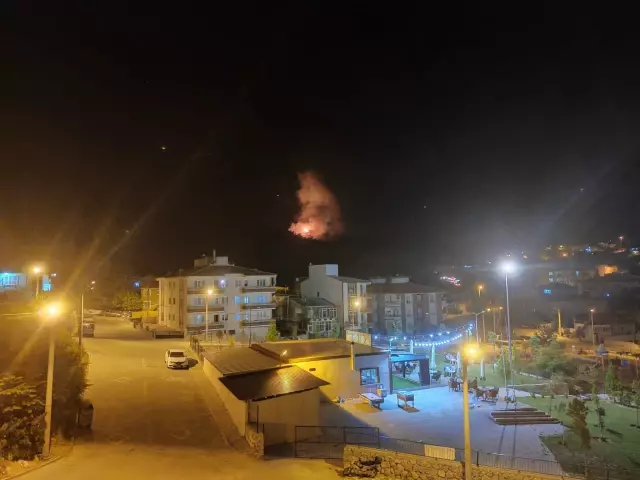 Son dakika haberi! Çıkan orman yangına müdahale ediliyor