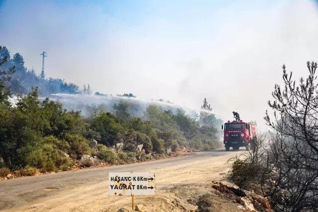 Son dakika haberi | Silifke ilçesinde çıkan orman yangınlarına müdahale ediliyor (8)