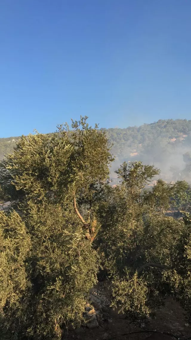 Marmaris'te çıkan orman yangınına müdahale ediliyor