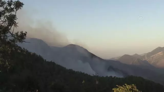 Son dakika haberi: Aydıncık'ta orman yangını (7)