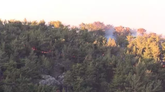 Son dakika haberi: Aydıncık'ta orman yangını (7)