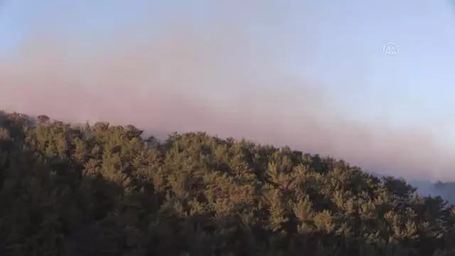 Son dakika haberi: Aydıncık'ta orman yangını (7)